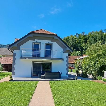 Hisa Haasberg Villa Planina  Ngoại thất bức ảnh