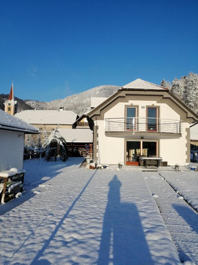 Hisa Haasberg Villa Planina  Ngoại thất bức ảnh